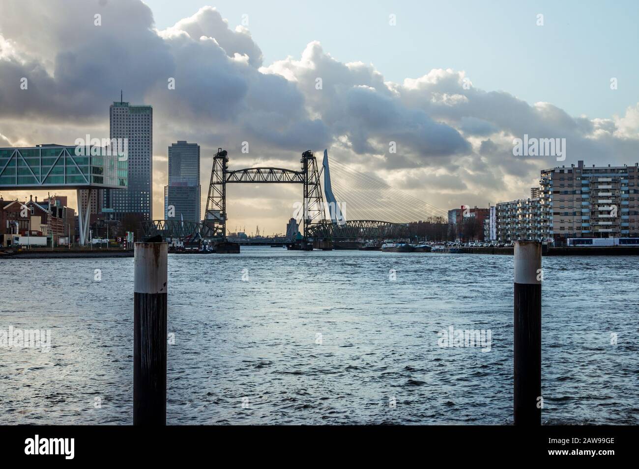Paysage urbain à Rotterdam, magnifiques nuages et soleil dans le ciel, gratte-ciel et bâtiments modernes et Erasmus et Willemsbridge au-dessus du New Maas Banque D'Images