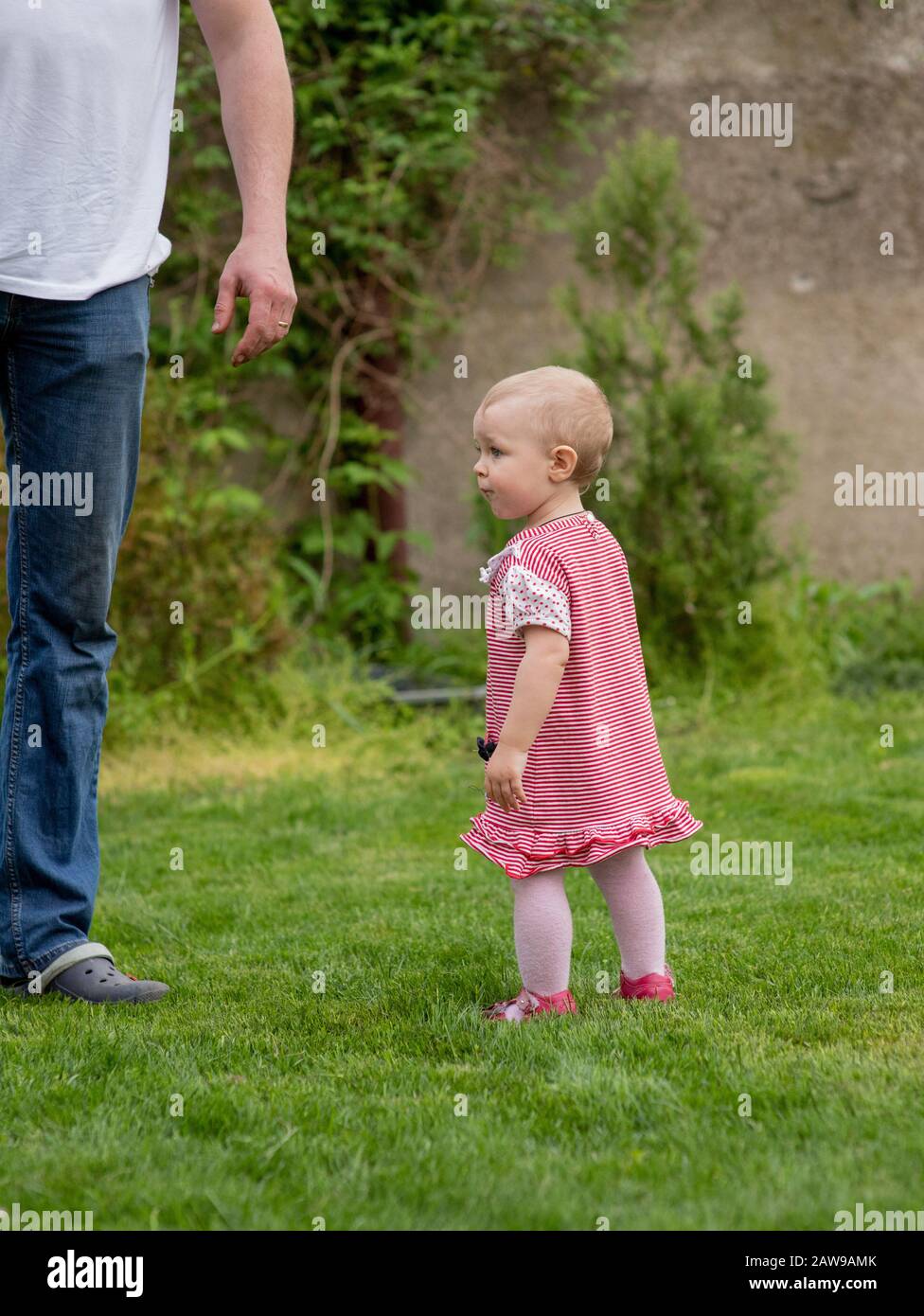 Petite fille de bébé de 1 an va. Le père marche avec l'enfant à travers l'herbe verte. Bébé apprend à marcher avec le soutien d'un parent. 1 an Banque D'Images