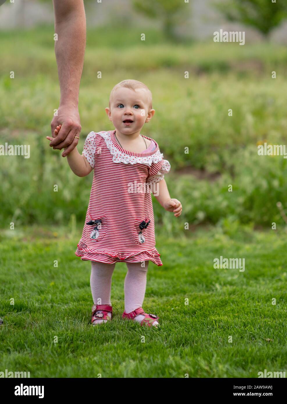 Petite fille de bébé de 1 an va. Le père marche avec l'enfant à travers  l'herbe verte. Bébé apprend à marcher avec le soutien d'un parent. 1 an  Photo Stock - Alamy