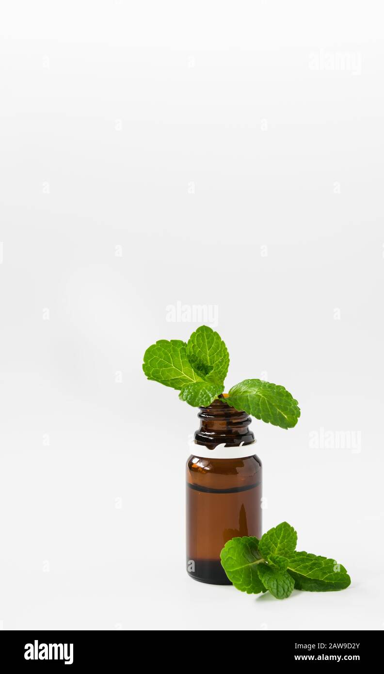 bouteille de verre isolée avec huile aromatique et un brin de menthe sur fond blanc Banque D'Images