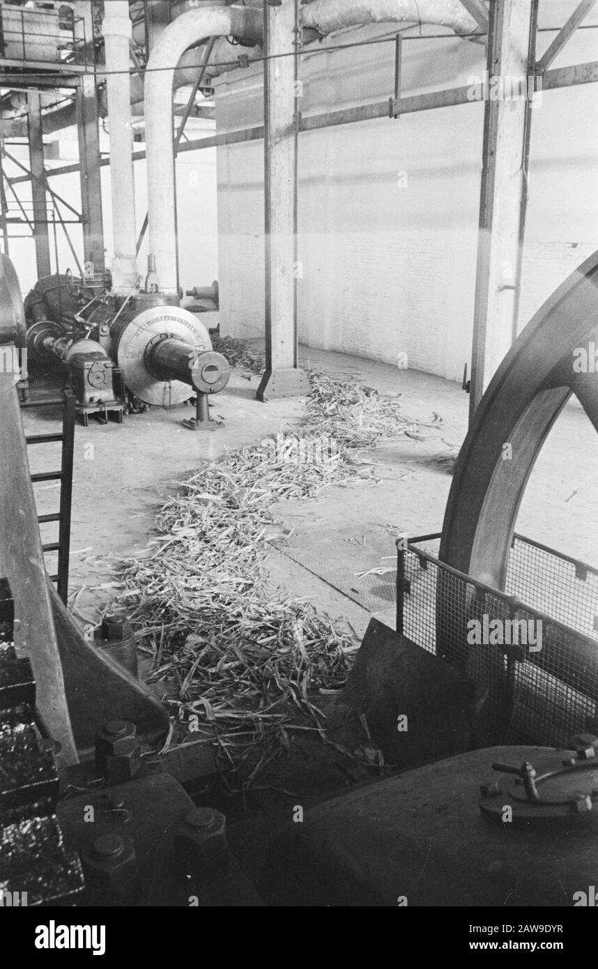 Sindanglaoet Linggadjati Linggadjati: L'usine de sucre Sindanglaoet appartenant à la Société agricole néerlandaise de l'Indes de l'est avec une capacité de 200 kg de canne par minute a été sauvée par l'avance rapide des troupes néerlandaises de destruction totale. Un tuyau de paille sèche de canne à sucre - recouvert de pétrole - fourni comme une mèche aux bombes qui ont été disposées parmi les machines. Date: Juillet 1947 Lieu: Indonésie, Linggarjati, Hollandais East Indies, Sindang Laut Banque D'Images