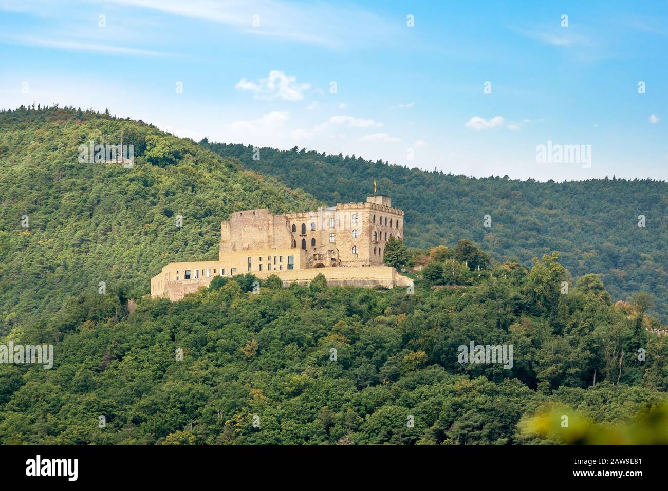 Château Hambacher Schloss entourée par la forêt Banque D'Images