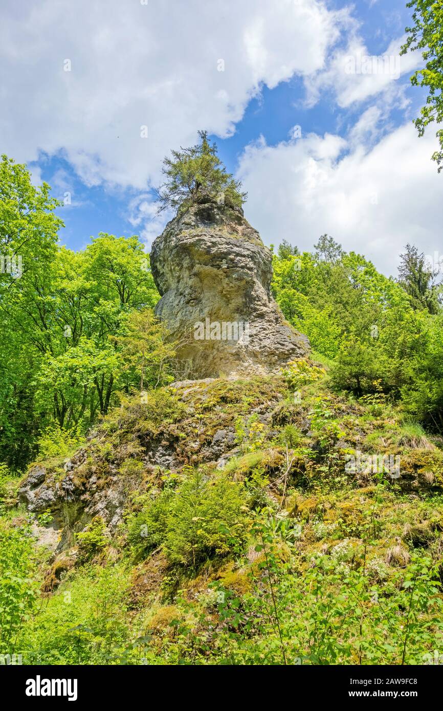 Impressionnant rocher 'Wentalweible' le long du sentier éducatif 'Wentallehrpfad' dans les Alpes du Swabian Banque D'Images