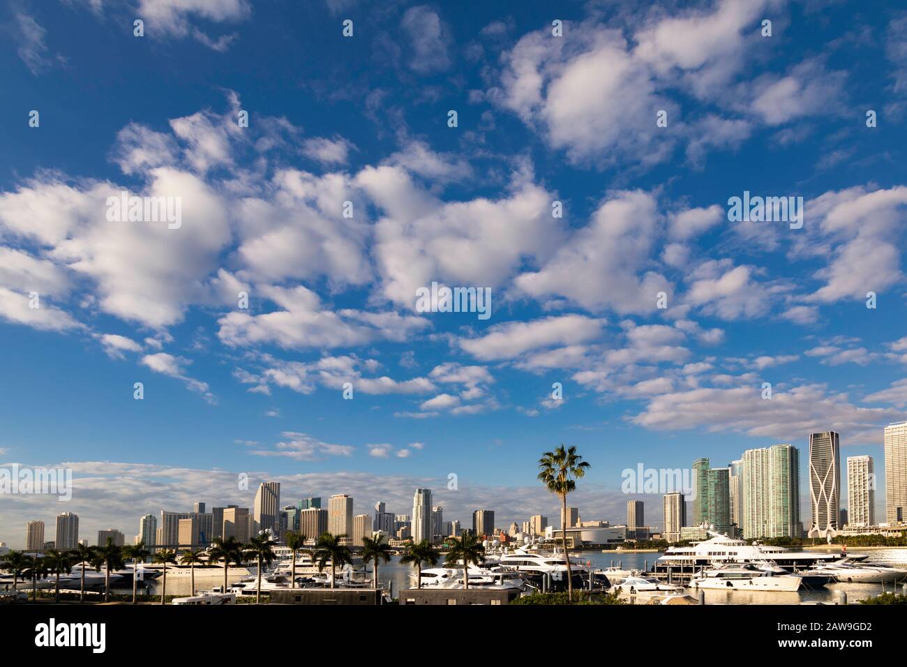 Ville de Miami vue depuis la MacArthur Causeway au lever du soleil. Banque D'Images