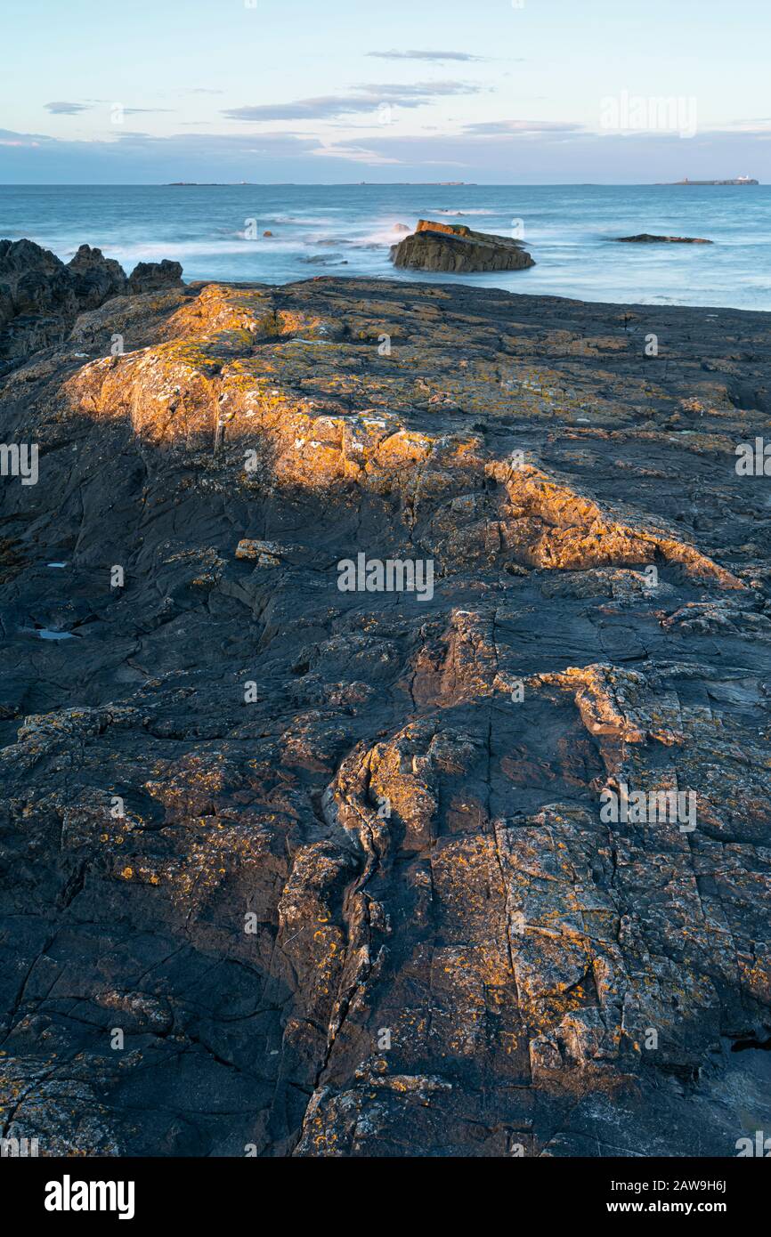 Harkess Rocks Près De Bamburgh, Northumberland, Angleterre Banque D'Images