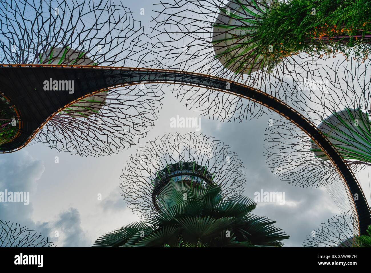 Singapour. Janvier 2020. Vue panoramique depuis le parc Supertree Grove Banque D'Images
