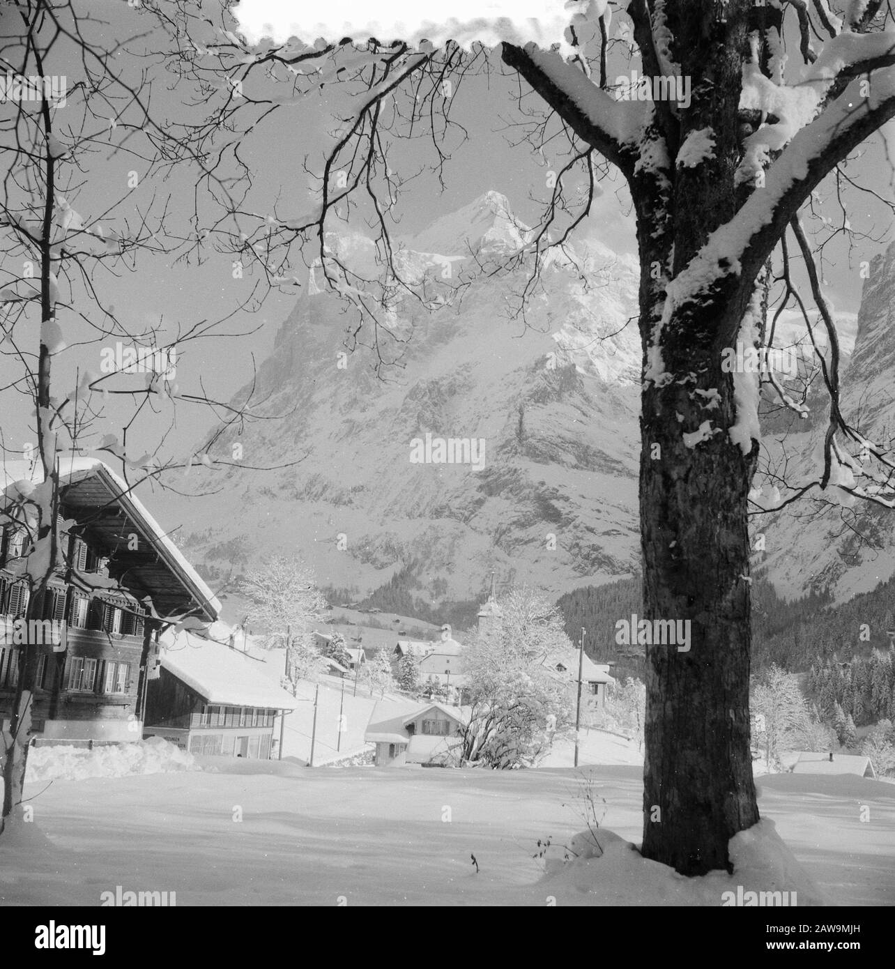 Visite royale à Grindelwald, photos de Grindelwald Date : 31 décembre 1953 lieu : Grindelwald mots clés : paysages Banque D'Images