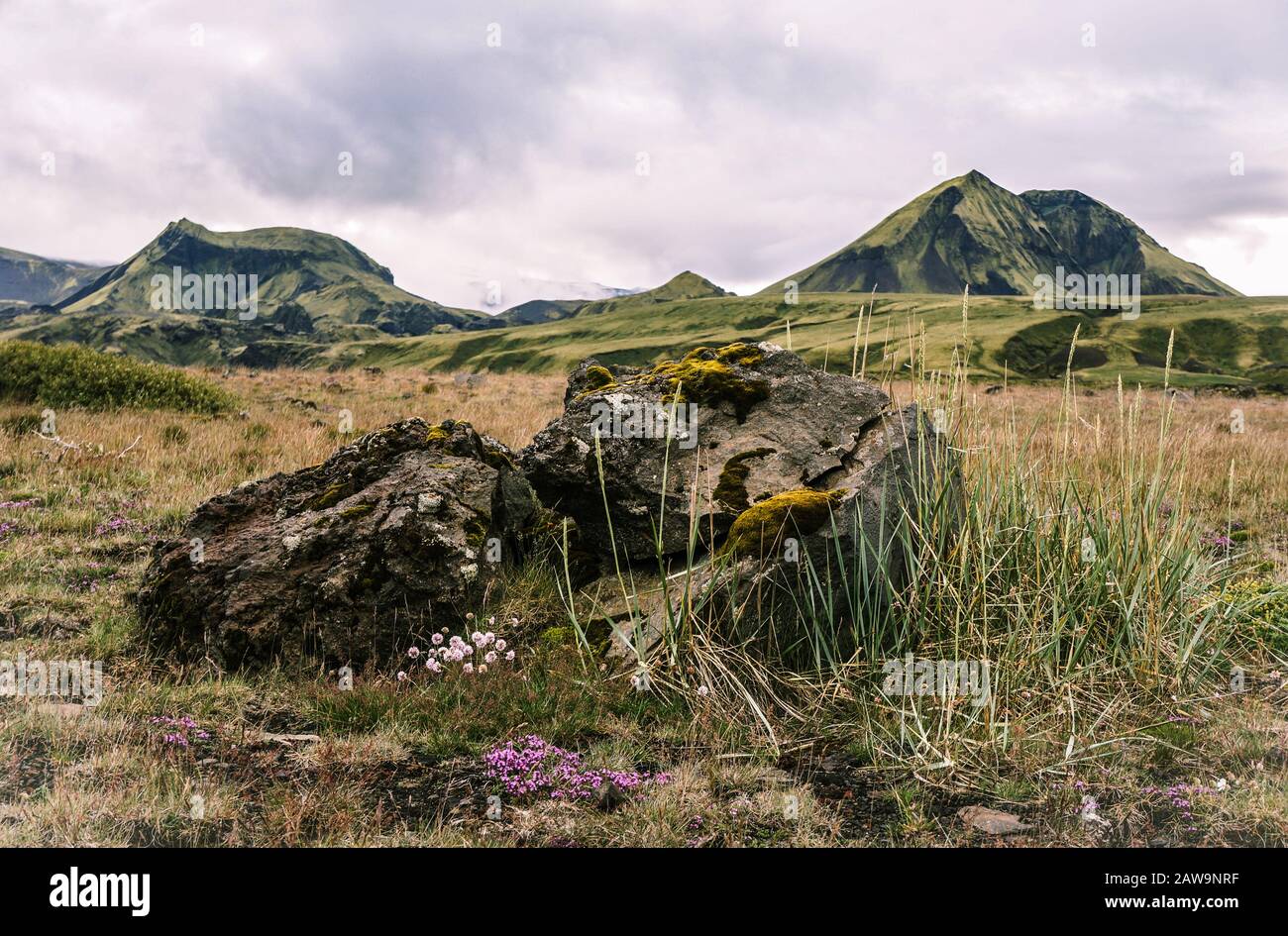 Vue sur la montagne sur le sentier laugavegur en Islande Banque D'Images