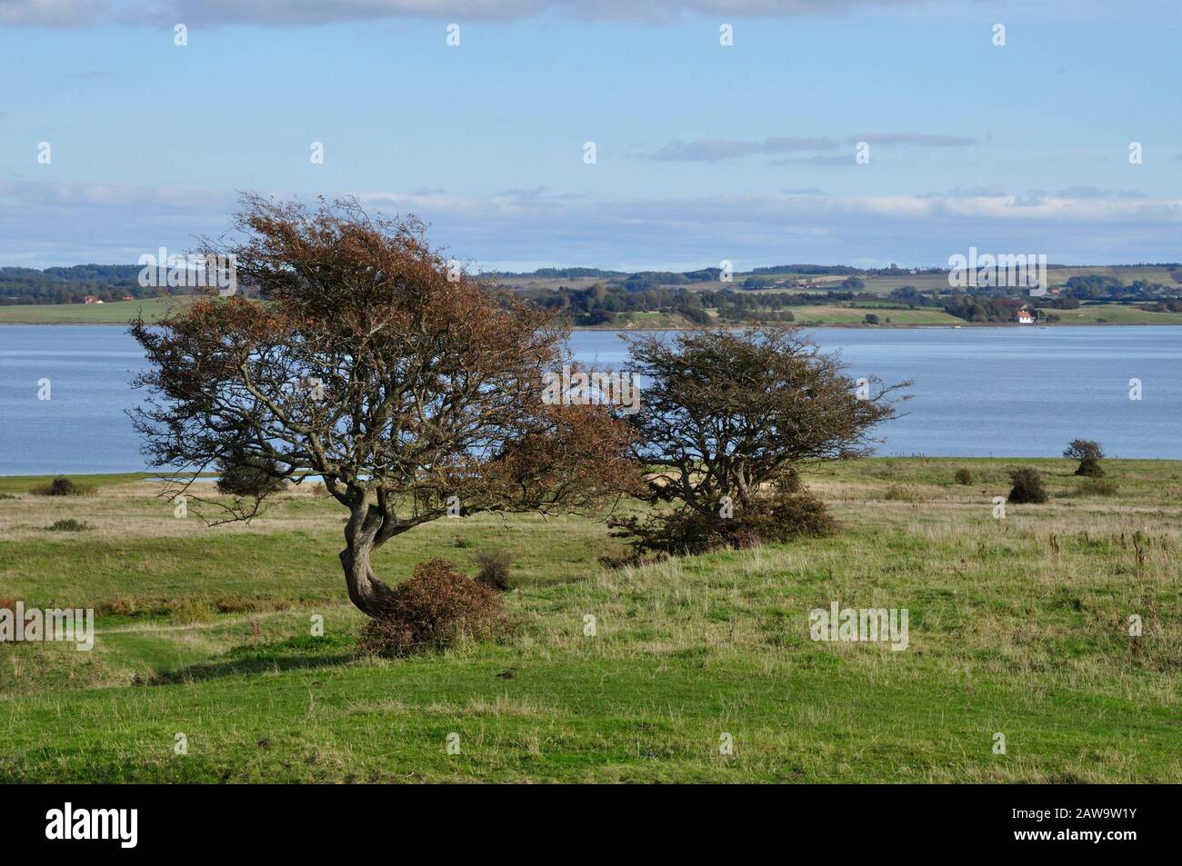 Au bout de la plus longue route médiévale du Danemark, dans le magnifique parc national de Mols Bjerge, se trouve les ruines du château de Kalø. Banque D'Images