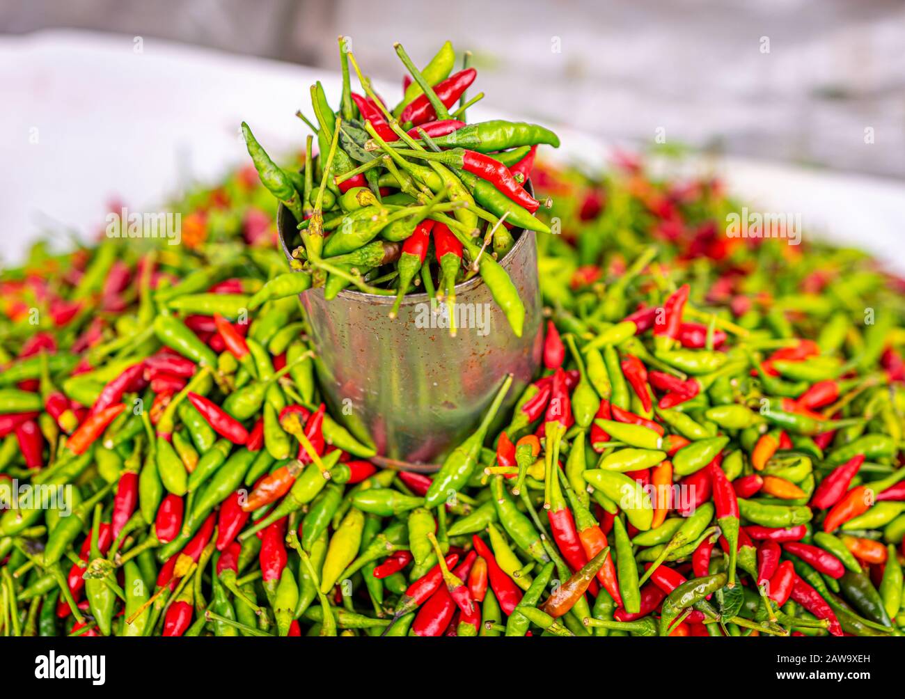 Piment rouge et vert en boîte d'étain, marché biologique local Banque D'Images