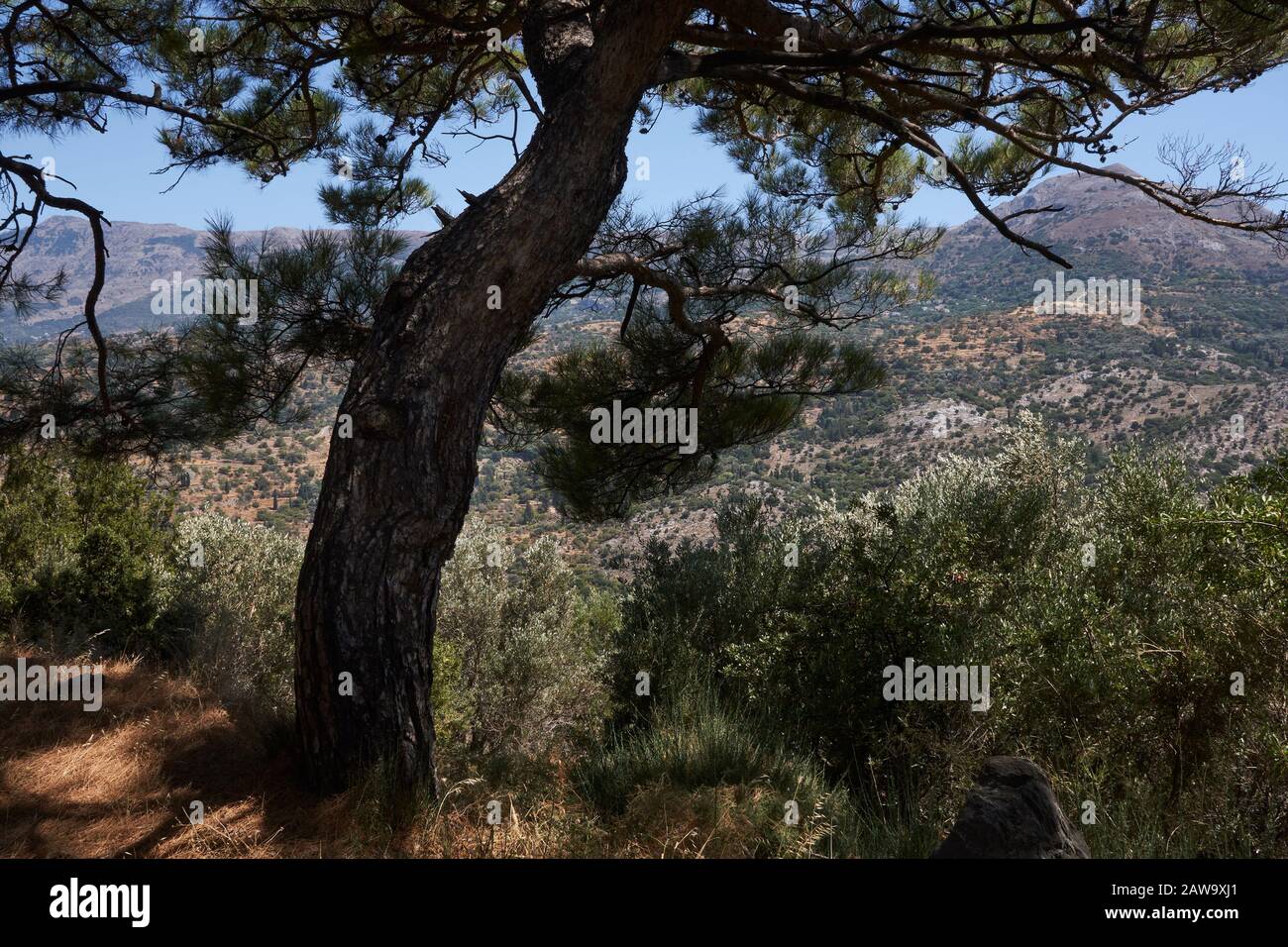 Le paysage de l'île grecque d'Ikaria. Banque D'Images