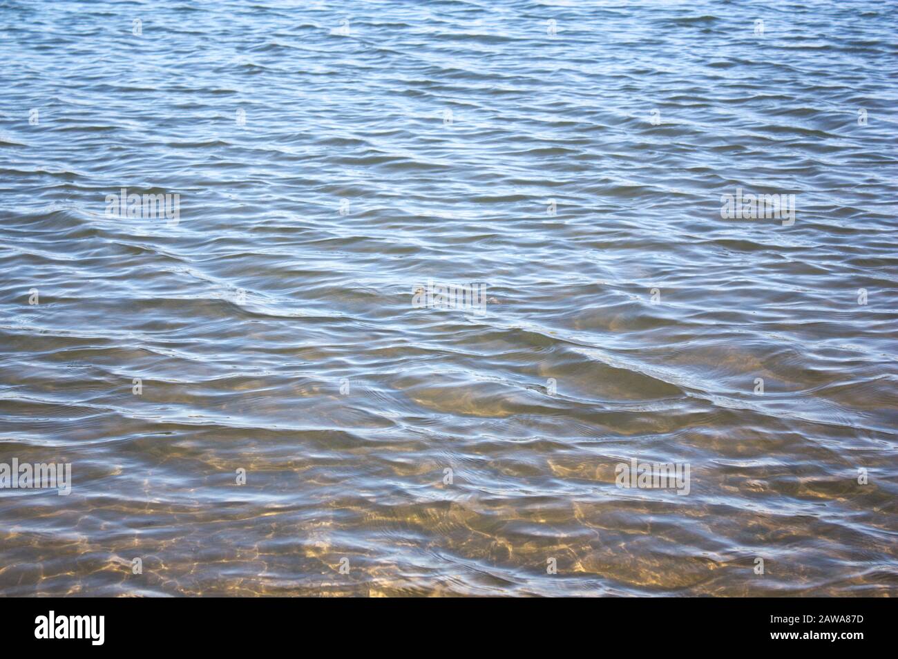 Vue du dessus du fond d'un petit lagon d'eau claire où il y a de petites vagues en raison de la brise légère Banque D'Images