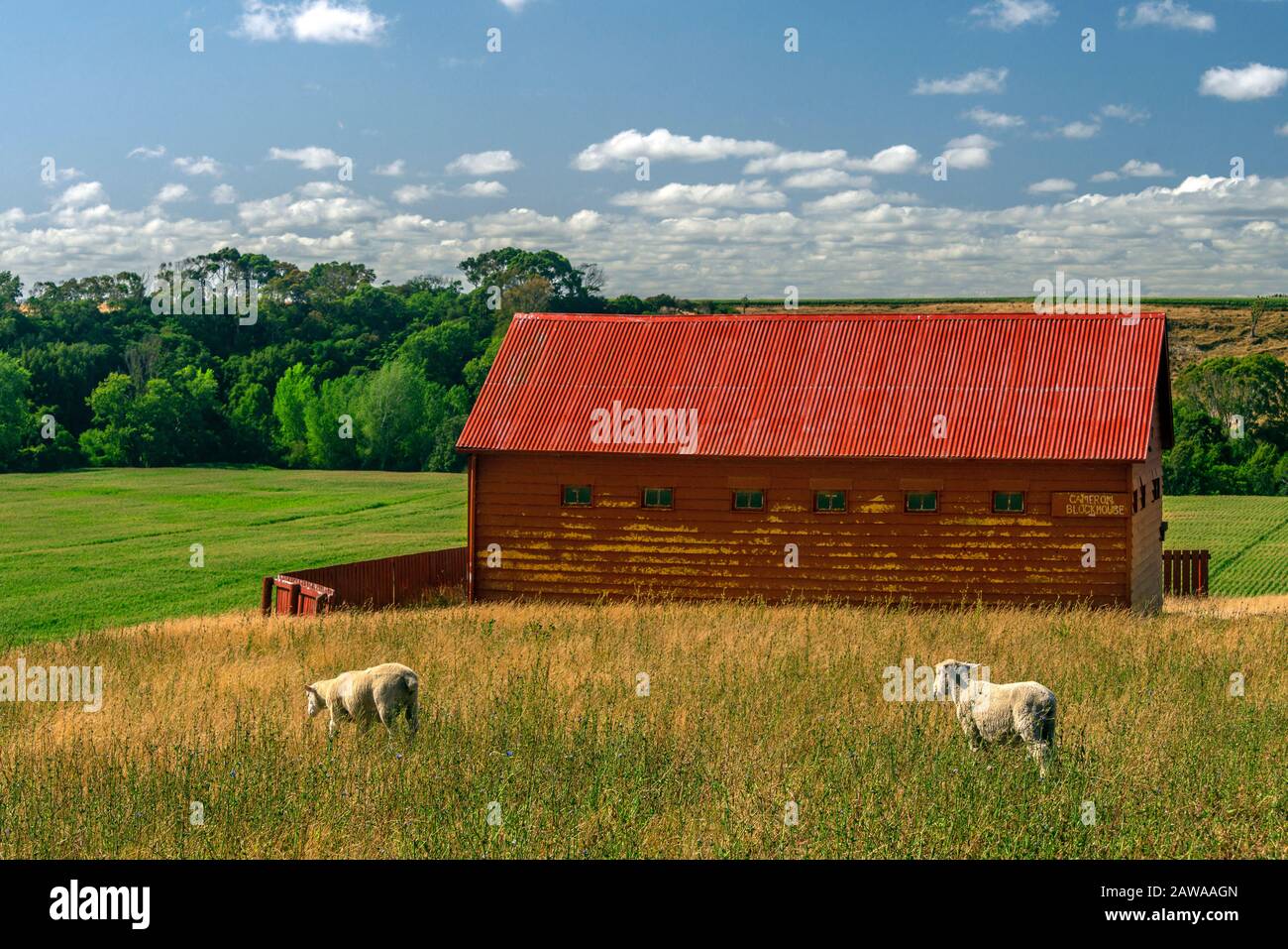 Le Blockhouse de Cameron, un refuge fortifié des années 1800 utilisé pendant les guerres maories, près de Whanganui, sur la côte ouest de l'île du nord en Nouvelle-Zélande Banque D'Images