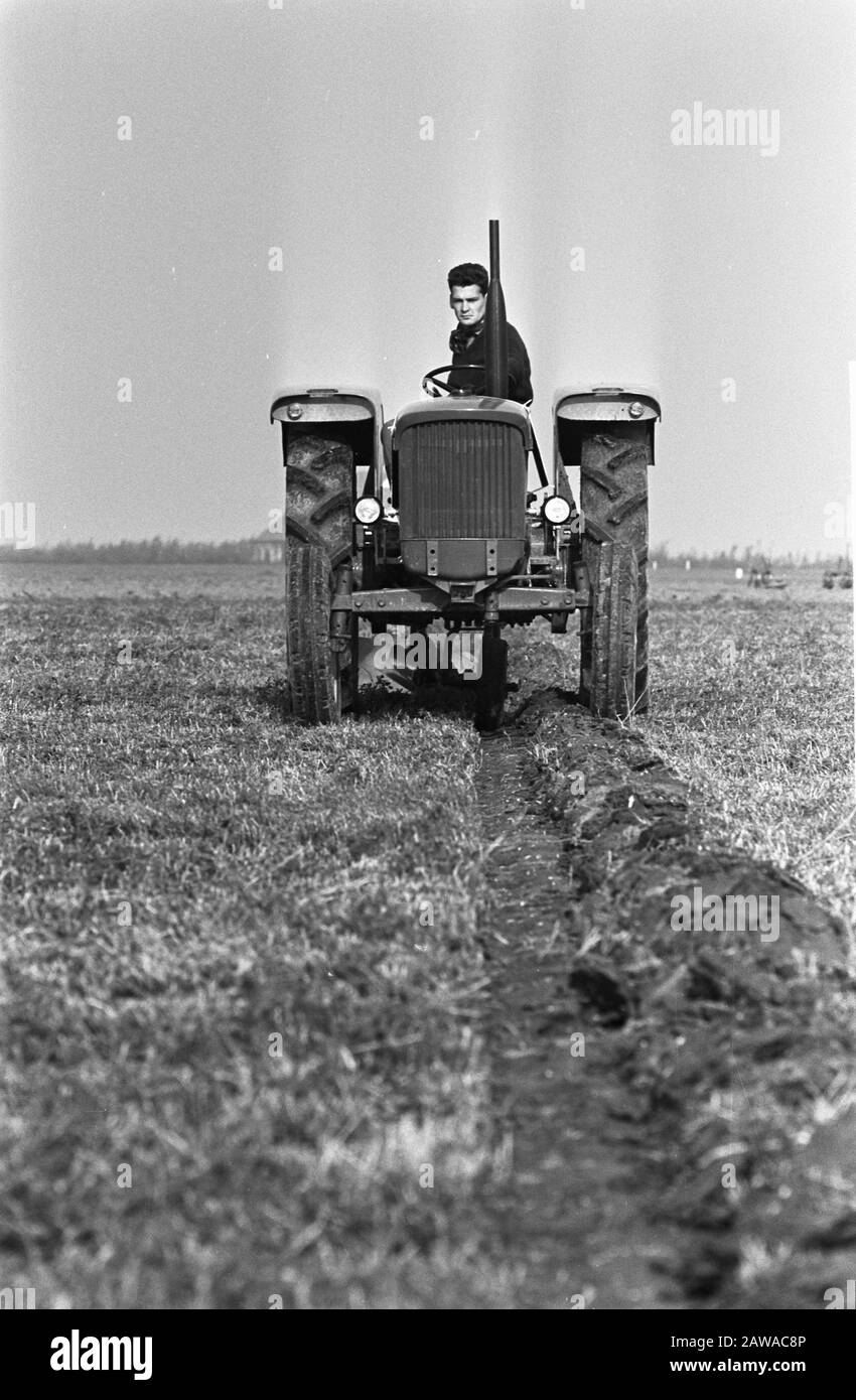 L'équipe nationale S'Associe à 1965 Swifterbant Klaas Eelman des équipes de champions texel des Pays-Bas, tout en lavant Date: 27 octobre 1965 lieu: Flevoland, Swifterbant mots clés: Agriculture, travail du sol, outils, tracteurs, concours Nom De La Personne: Eelman, Klaas Nom de l'institution: Pays-Bas Banque D'Images
