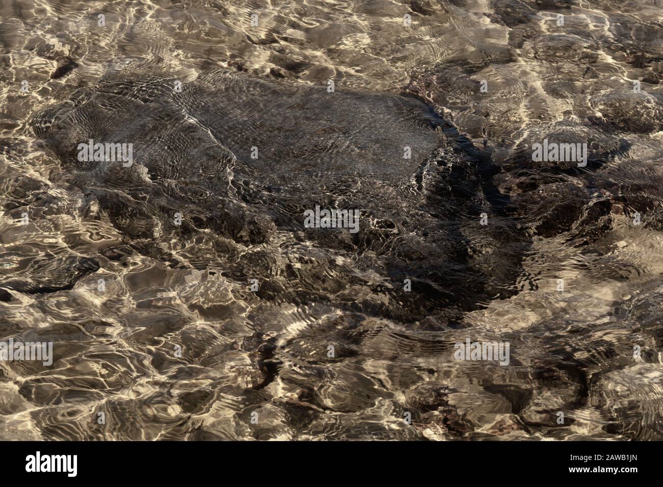 Eau transparente brillante. Eau claire avec cailloux et pierre sur le fond. Reflets brillants des rayons du soleil et ondulations sur la surface de l'eau Banque D'Images