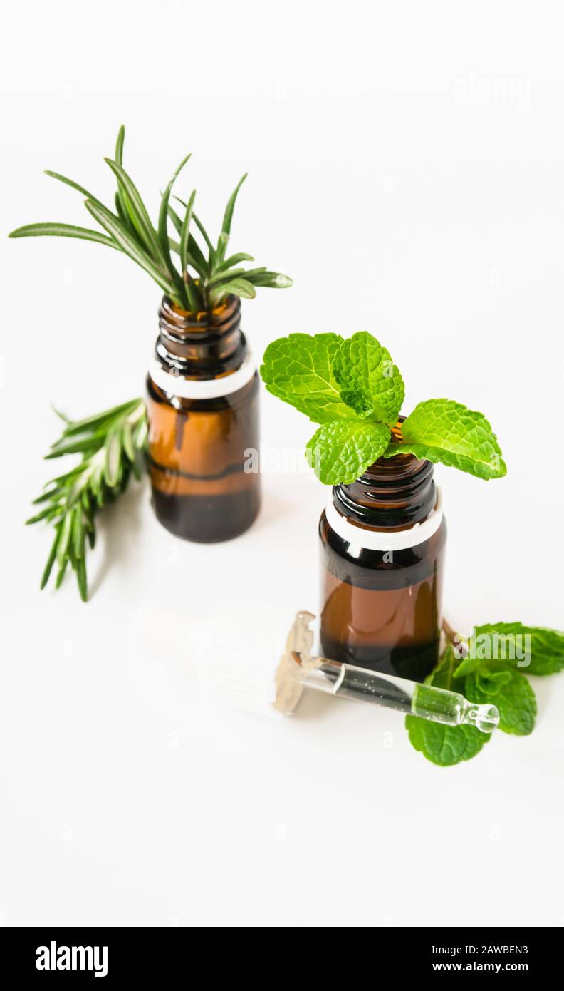 bouteilles en verre avec huiles essentielles et feuilles de romarin et de menthe sur fond blanc, espace libre pour le texte Banque D'Images