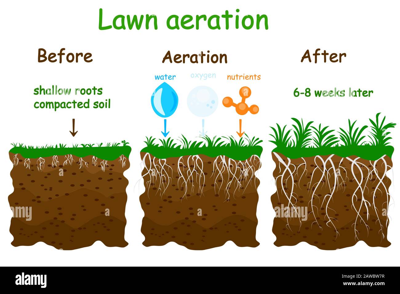 Illustration du niveau d'aération de la pelouse. Infographies avant et après aération. Jardinage entretien de pelouse, aménagement paysager, entretien d'herbe de pelouse. Vecteur Illustration de Vecteur