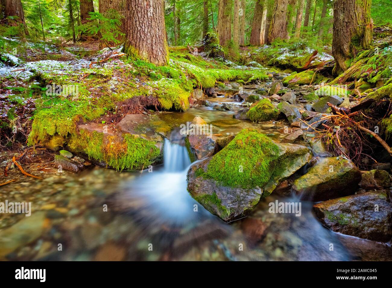 Hiver près des lacs Mowich et Eunice au Mt. Parc National Rainier. Banque D'Images