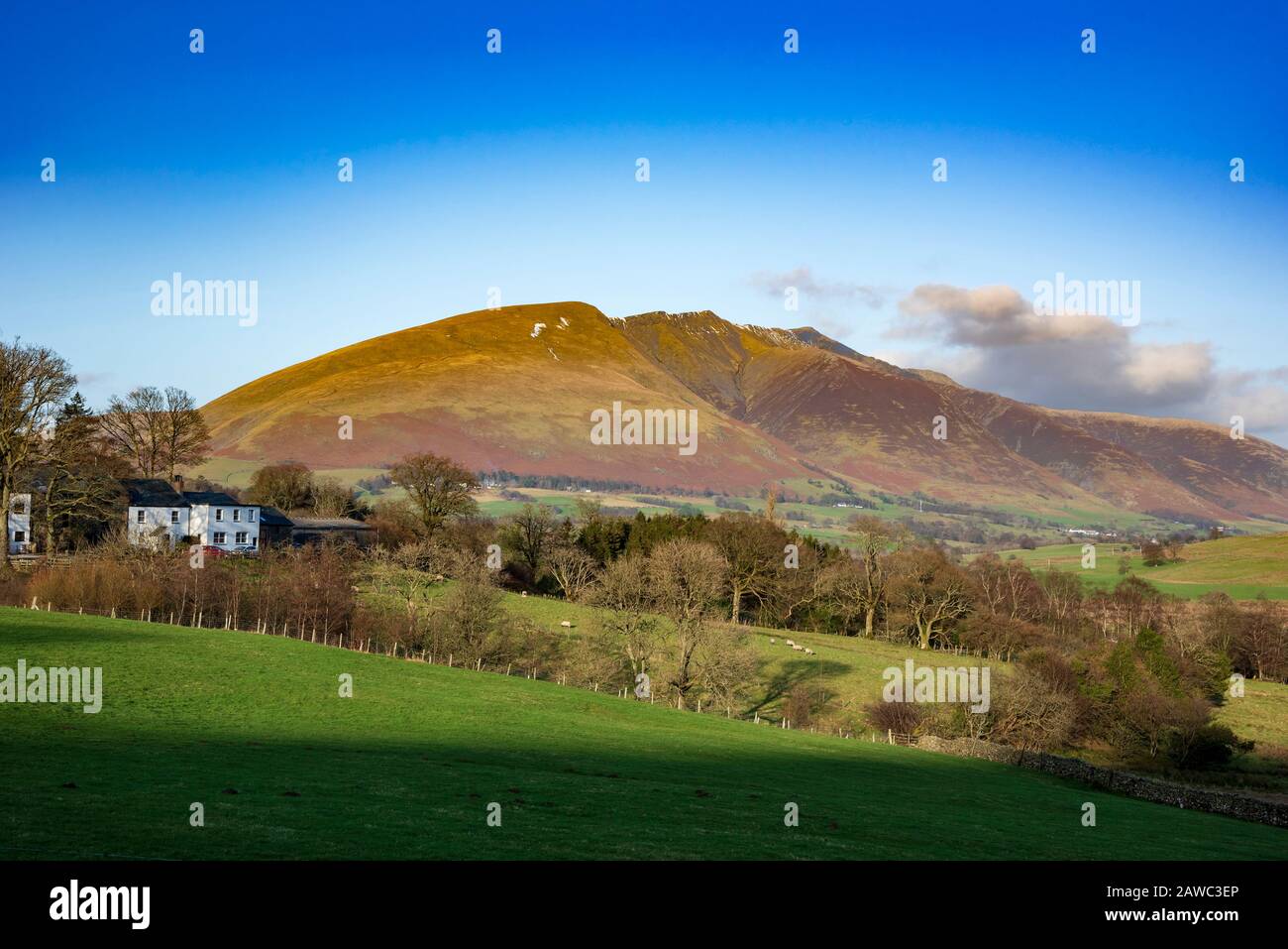 Blencathra. Le quartier du lac. Banque D'Images