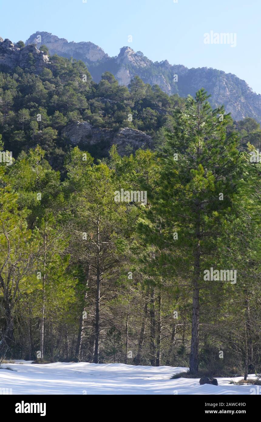 Neige en fin d'hiver dans le parc naturel d'Els ports, Catalogne Banque D'Images