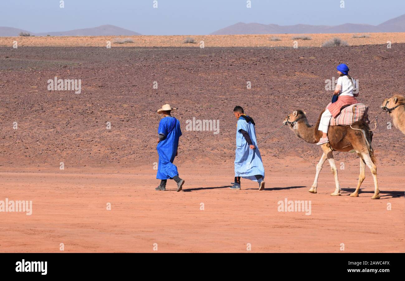 Les touristes en safari à dos de chameau sont dirigés par des guides berbères au Maroc en Afrique du Nord Banque D'Images