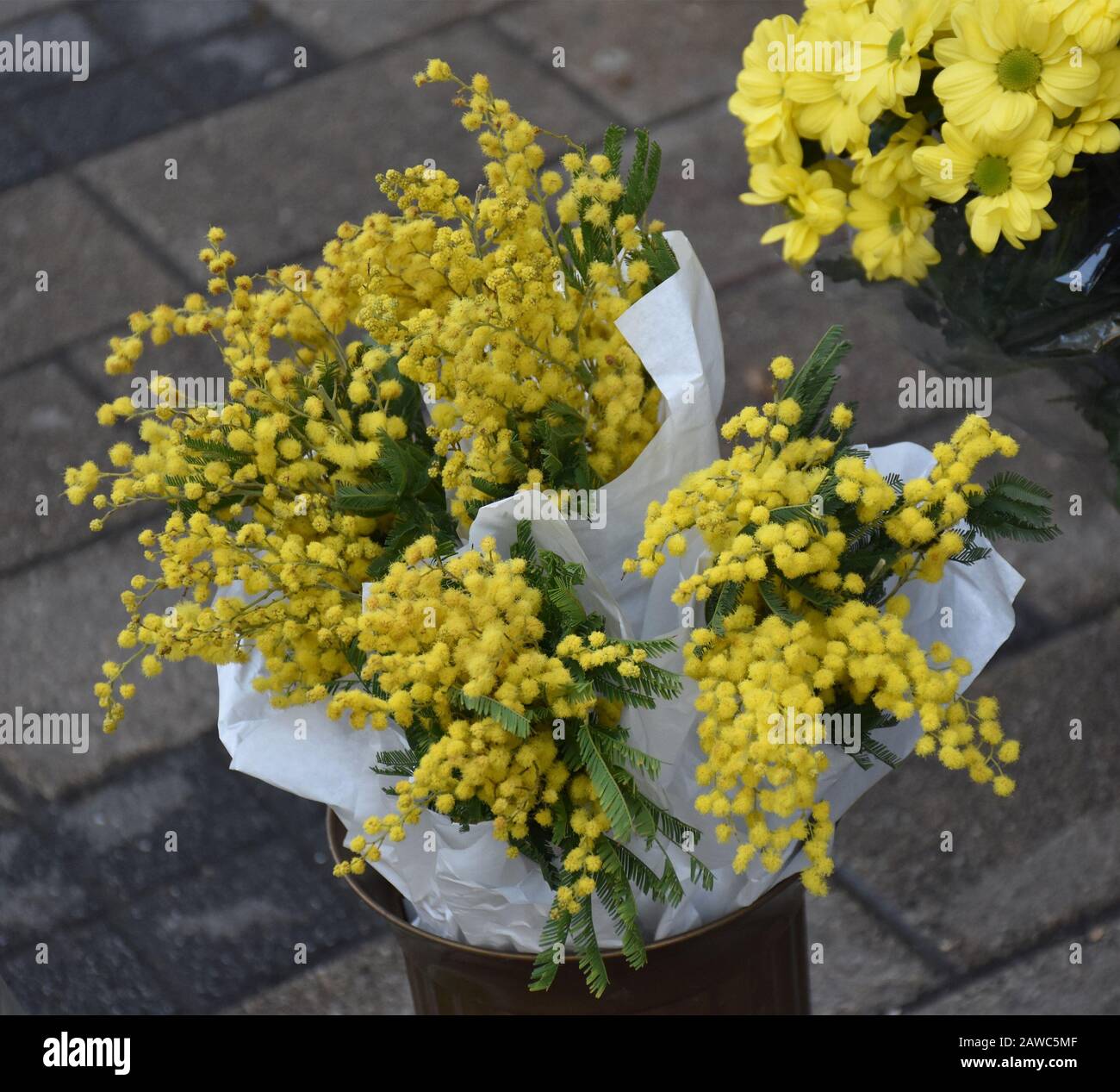 Mimosas enveloppé dans du papier blanc dans un vase. Fleurs jaunes en arrière-plan. Banque D'Images