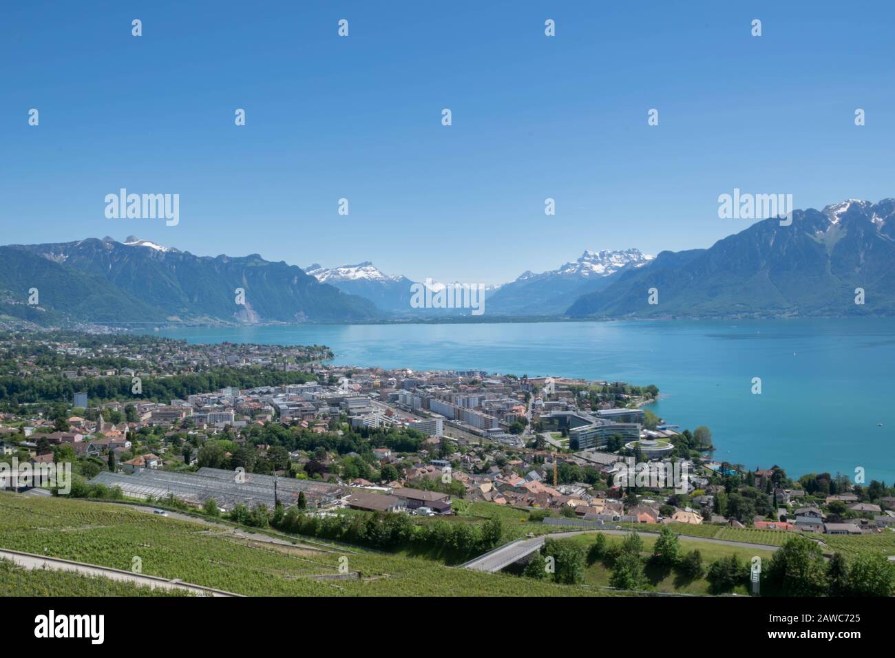 Vue sur les vignobles, la ville de Lausanne, le lac Léman et les Alpes en Suisse Banque D'Images
