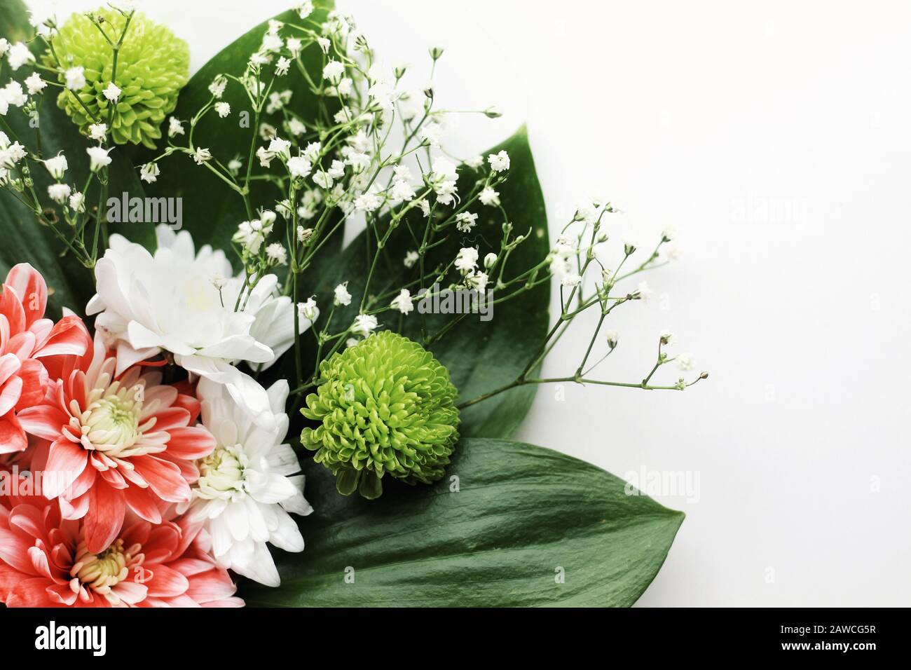 Détails. Gros bouquet de fleurs printanières pour des salutations isolées sur fond blanc. Copyspace. Pétales et feuilles, brillants, gonflant tendre. Banque D'Images