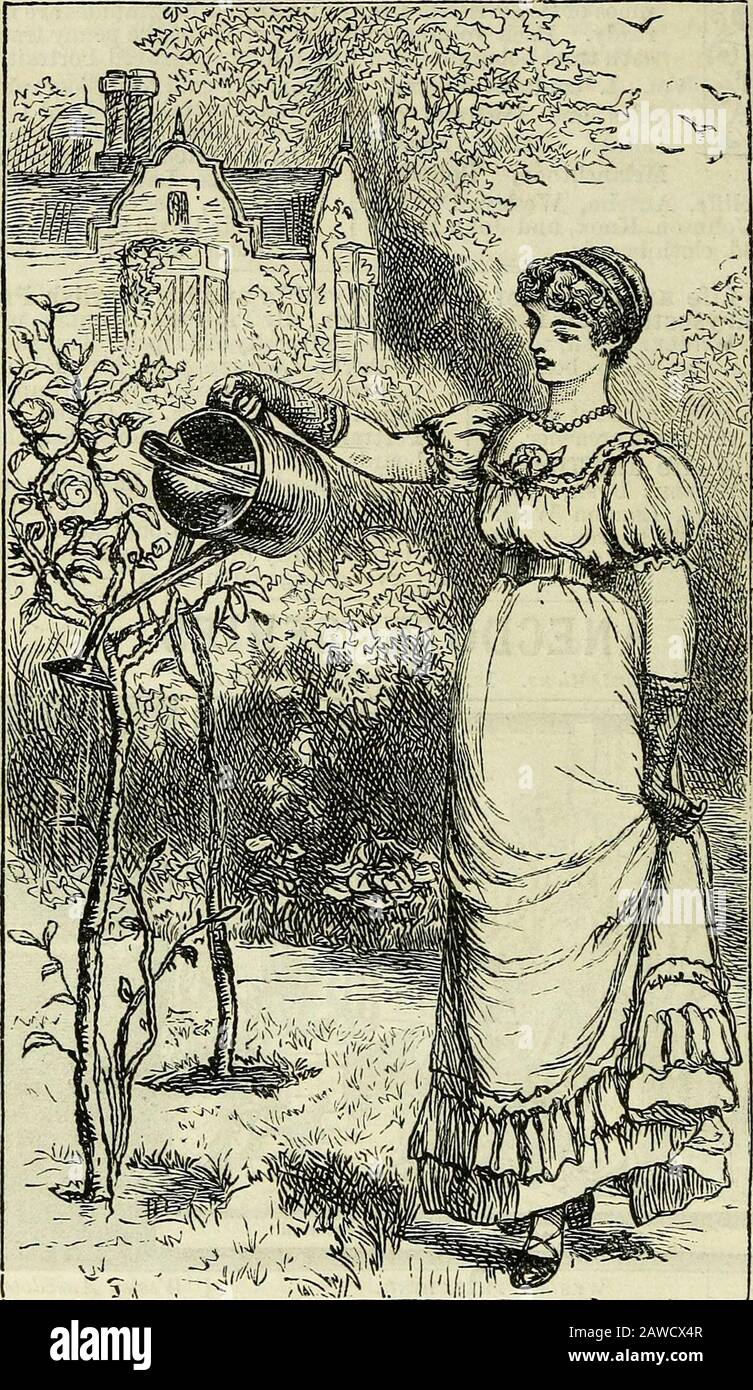 Le Forfar Directory et le Livre de l'année 1886 . tions. Est. 6 panneaux en tissu. Une collection de capital d'anecdotes.Many ?nill lire ces histoires qui wouldNever wade tluough une biographie.—Rev. C. H. Spuegeon, dans Sword et Toioel. Anecdotes De Wycliffe. Par S. G. Green. Est. 6 panneaux en tissu. Wliilst bien adapté pour un débutant sera également utile à ceux qui sont bien avancés dans l'étude de Wycliffe.— Leeds Mercure. LA LISTE SOCIETYS DU TRACTUS RELIGIEUX. LIVRES D'HISTOIRE ILLUSTRÉS. Les SUNFLOWERSERIES DE LIVRES POUR jeunes femmes. 1. Tournesols. Une histoire de To-day. EyO. C. Gkdge.Avec Fourillustrations.3. 6 d. tissu Banque D'Images