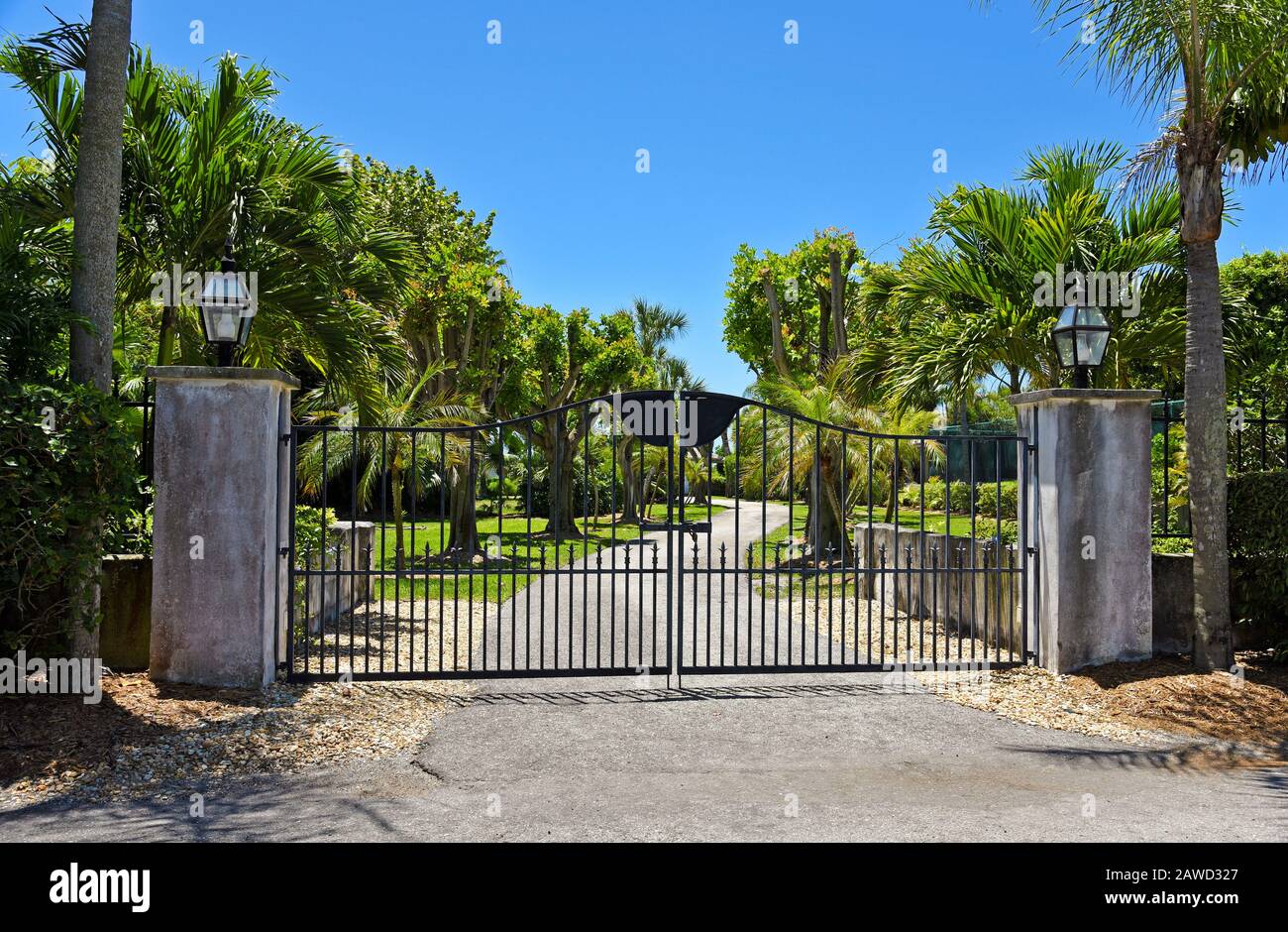 porte en fer forgé noir à la propriété avec jardin et allée bordée de palmiers en arrière-plan Banque D'Images