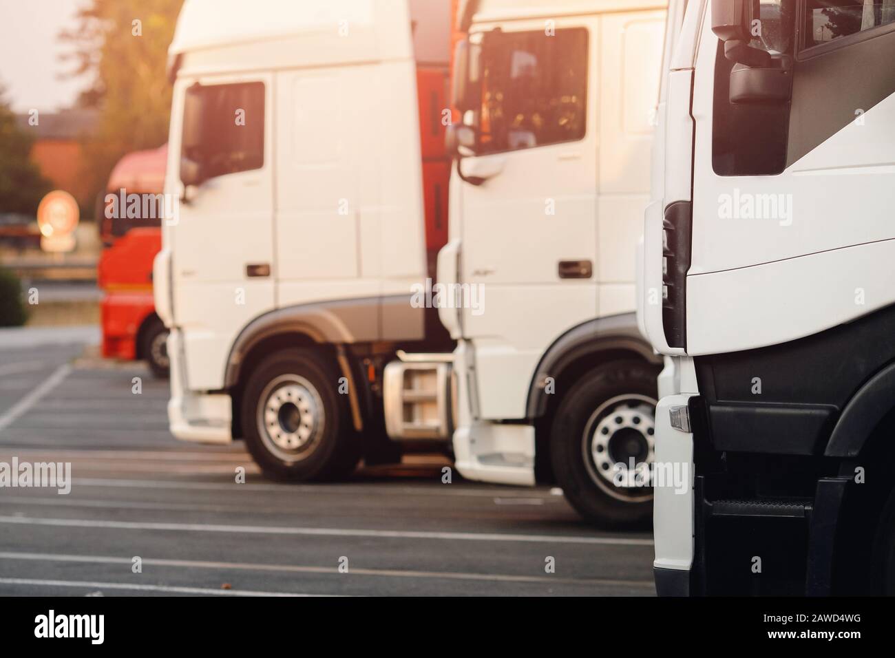 Camions sur camions, les voitures blanches sont stationnées dans le stationnement, prêtes à démarrer la logistique. Banque D'Images