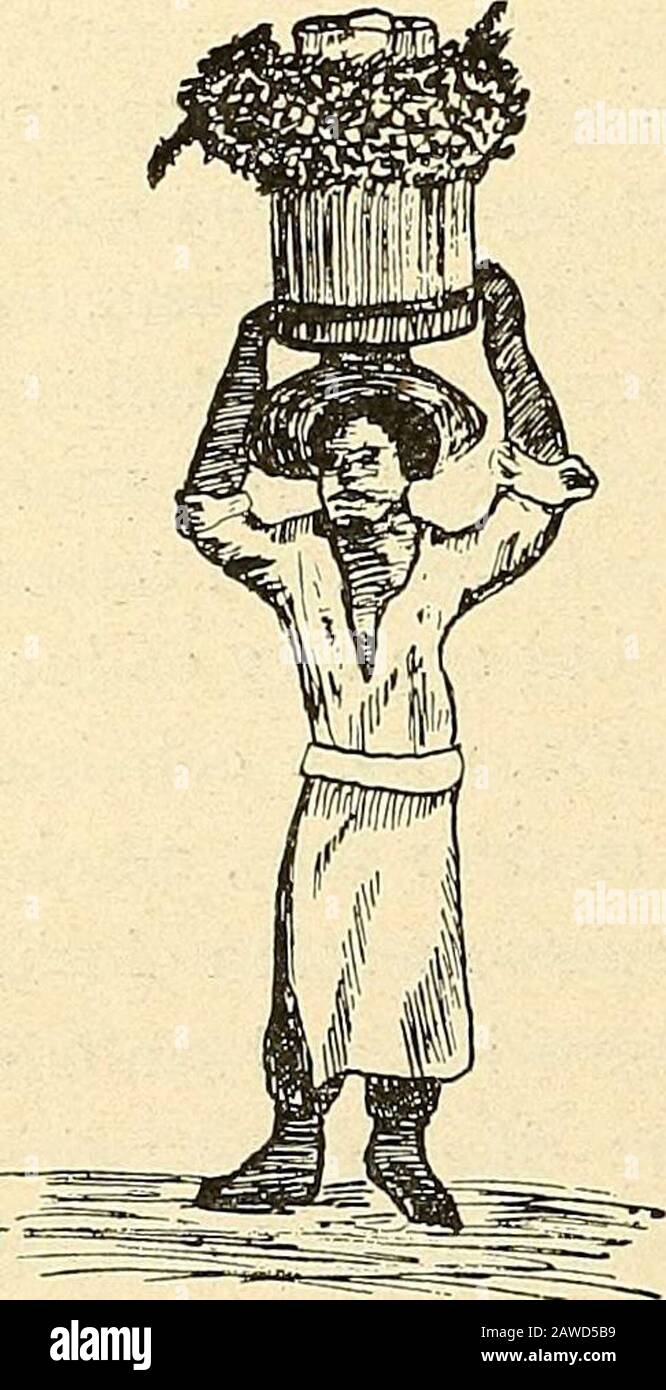 Rapport du comité naval à la Chambre des représentants, août 1850, en faveur de l'établissement d'une ligne de navires à vapeur par courrier sur la côte ouest de l'Afrique, et de leur passage par la Méditerranée à Londres; . rt de leur temps de parole de cette façon. Dans leur robe, cette classe favorise les Français et se conforme aux derniers styles parisiens. Ils portent la robe charistique des Espagnols, la mantilla. La troisième course, les Mestizos, course mixte, est le printemps de la mère et du père blanc. Ils arborent des cavaliers endiablés, et semblent com-bine les meilleures caractéristiques des courses de thetwo Qu'Ils portent, quand Banque D'Images