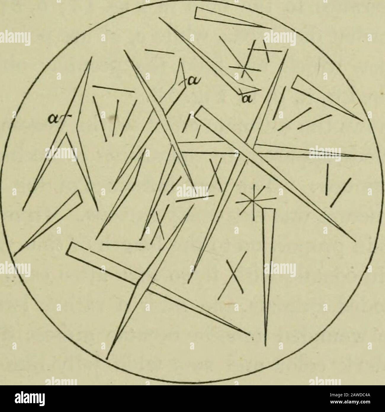 Ophidiens, arrangement zoologique des différents genres, y compris les variétés connues en Amérique du Nord et du Sud, les Indes de l'est, l'Afrique du Sud, et les poisons d'AustraliaTheir, et tout ce qui est connu de leurs galls natureTheir, comme antidotes au venom de serpent .. . liées par le poison, comme indiqué par un grand nombre de thèmes avec la périphérie à double ligne. En Figs. 9 et 10 thépoisons-corpuscules sont beaucoup plus abondants, et l'apparence-ance indique une décomposition beaucoup plus grande du sang que dans n'importe lequel des autres figues. L'inFig. Du poison-corpuscle. 12, bien que du même type que dans la Fig. 7, mais a un ST Banque D'Images