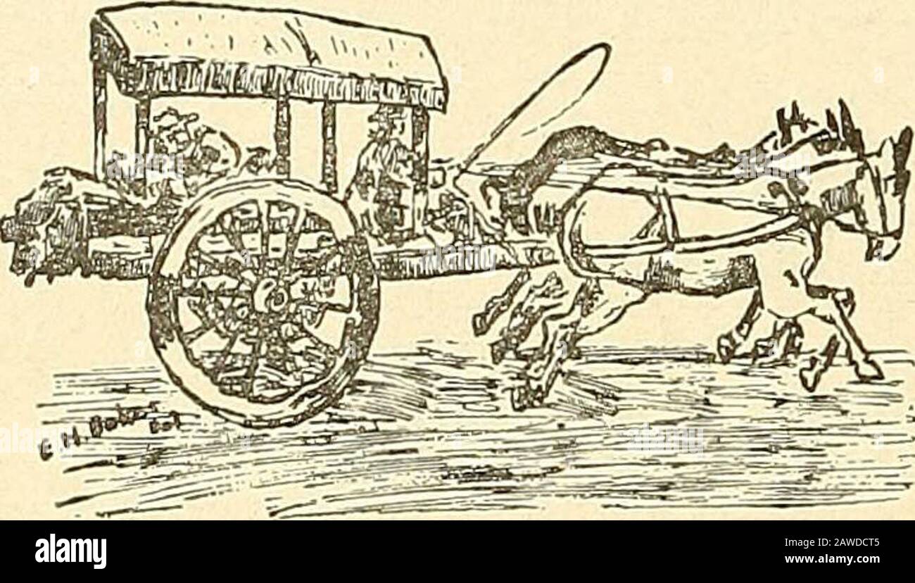 Rapport du comité naval à la Chambre des représentants, août 1850, en faveur de la mise en place d'une ligne de navires à vapeur par courrier sur la côte ouest de l'Afrique, et de là par la Méditerranée à Londres; . s comme un lieu de retraite quand durement pressé par leurs ennemis. Les autres passages ont conduit par un laby-rinth de colonnes stalactitiques, et nous n'avons pas les explorer. AsEvening approchait, nous sommes retournés à l'Hacienda. Cette grotte n'était que l'une des nombreuses qui sont éparpillement dans Yucatan. Toute la surface du pays est plate et sans cours d'eau de toute sorte, de sorte que l'habitude Banque D'Images