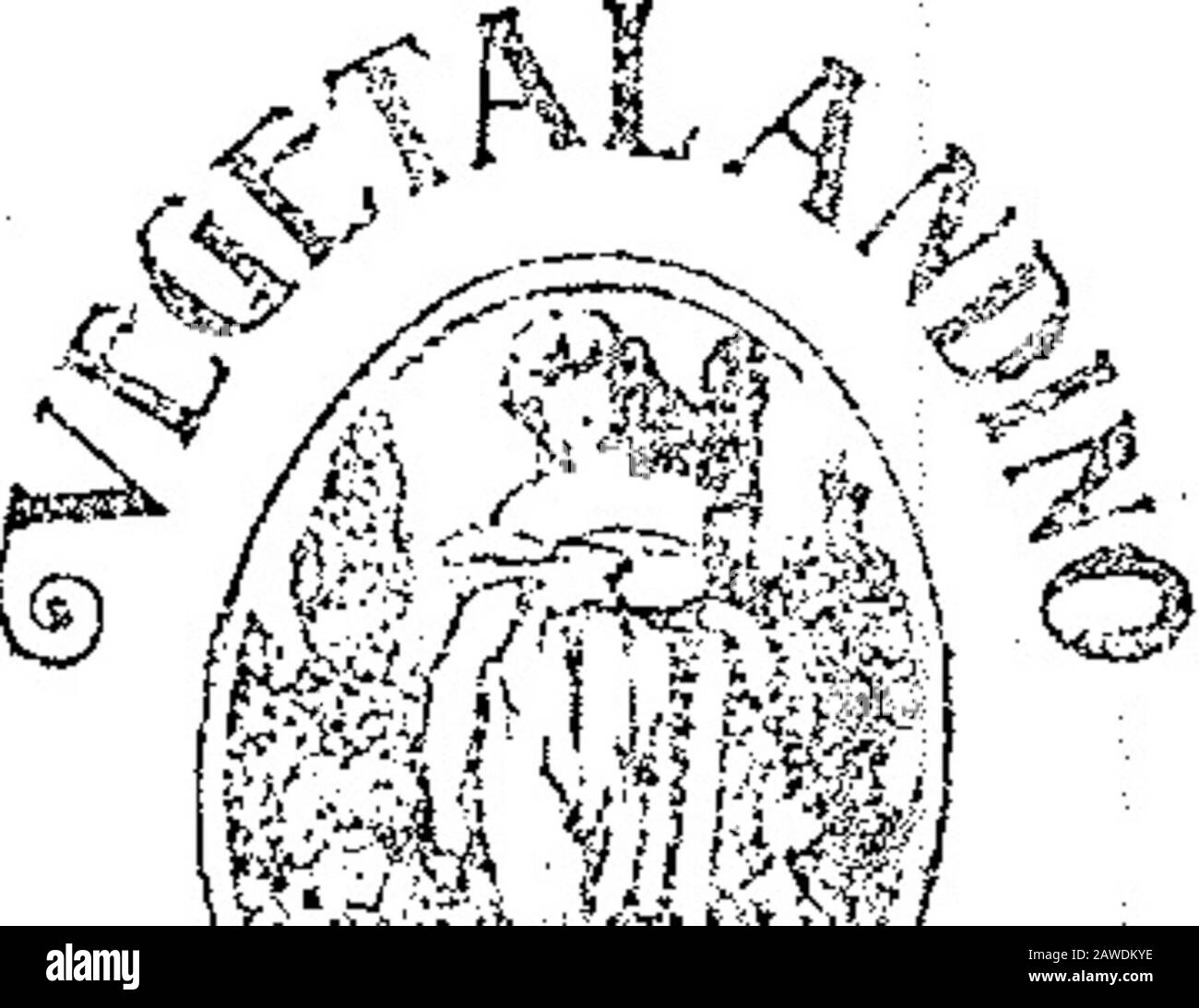 Boletín officiel de la República Argentina1919 1 ra sección . Mayo 21 ; de 19. - Martin Rosen-baum,. — Para distinguir máquinas yaparatos para recibir, retencer y reproducir el sonido, discos y cilindrrespara los mismos, y todos sus; acceso-:-,rios y componentes, de la clase 6.—? Aviso jt° 3519. 2 junio#&lt;K j-unirv Acta K° 67431 Mayo 23 de 1919. — Augusto Cos-itante y Compañía. — Para distinguir,harinas en général, de la clase 22.— Aviso JSF.° 36-1 S. 1 _ E-2 junio v-G junio Acta Ko~G7476. Mayo 23 de 1919. — Benito Cowmeit-A Manzoni. — Para distinguir pu-blicaciones en général, de la- ciase 3 Banque D'Images
