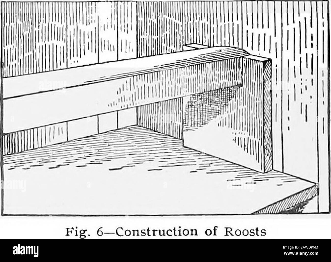 Le médecin de stock pratique: Un livre de référence fiable et de bon sens pour l'agriculteur et le propriétaire de stock .. . Fig. 4—Maison de la volaille avec trempage Plan eRouNO 1 i ORTN 3 HCD OBBfl noo^imtsri wtuoaw. Fig. 5—Plan de terrain de PoultryHouse avec Rayure de l'écurie de cheval de Shed, les acariens peuvent attaquer les chevaux, provoquant des démangeaisons et une condition de la peau, dont l'origine est notoirement soupçonnée. CONDITIONS préférables.—les maisons de volaille dans le besoin ne pas être élaborées dans leurs fixations ni coûteuses dans la construction. 6C2 LA PRACTICAI. Le médecin de stock Il y a certaines conditions, qui devraient être insidielles Banque D'Images