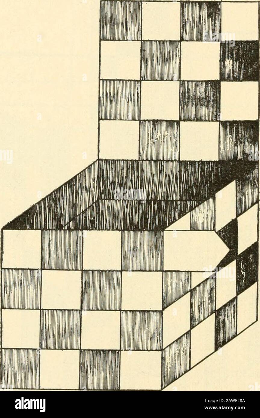 Travail constructif; . Figure 156 bandes courtes. E,s forme la couverture, le dos, le fond et l'avant du porte-ficelles. Voir Figure 156. 125 Utilisez quatre petits tisserands de chaque côté, en tissant vers le haut et vers le bas sur les extrémités des quatre longs tisserands. Par pulUng les extrémités ouvertes des tisserands les verticalstries sont enfoncées ensemble. Par pulhng les extrémités ouvertes des bandes verticales les weaversare pressés ensemble. Fig. 155.. Couper, pointé, les extrémités des bandes verticales et des tisserands, les laissant i^ pouces de long. Pliez le support en forme.Les points supplémentaires sur les côtés et le bord supérieur, sans avoir à le fixer, peuvent être repliés vers l'intérieur A. Banque D'Images