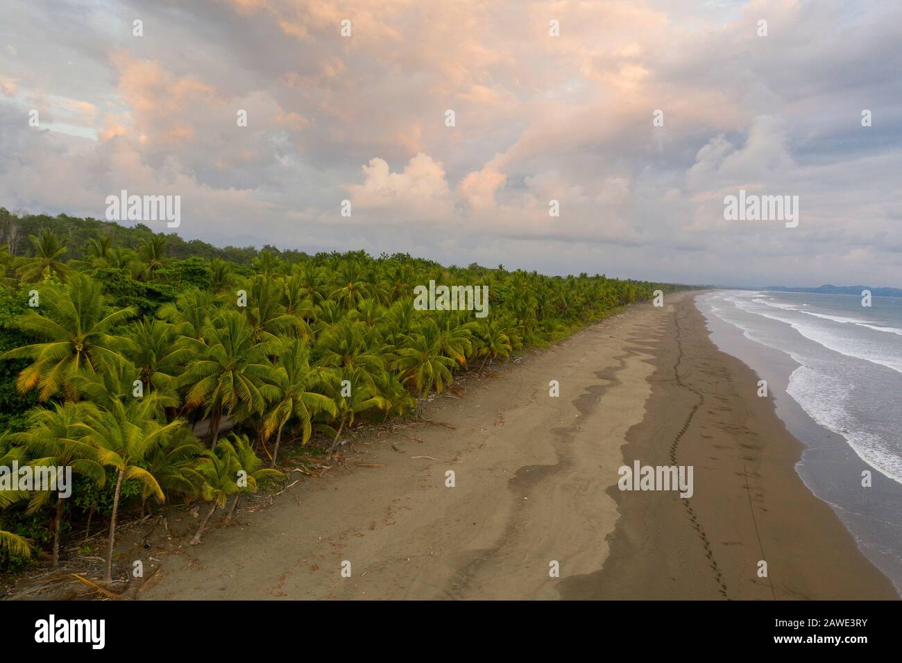 Côte et plage près de Parrita et Parque Nacional Manuel Antonio, province de Puntarenas, Costa Rica Banque D'Images