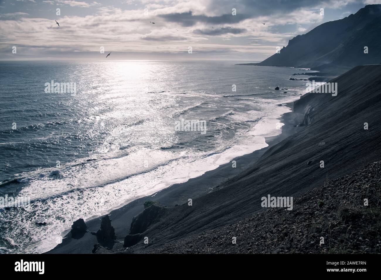 Vue sur la côte rocheuse islandaise le jour ensoleillé avec le soleil qui brille à travers les nuages et les oiseaux qui survolent la mer Banque D'Images