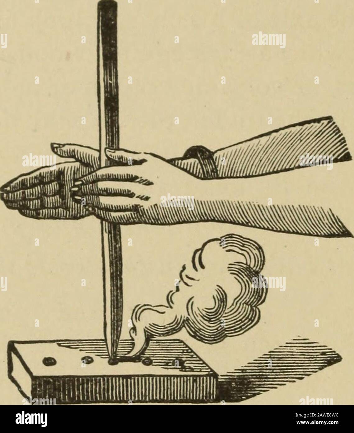 L'université de résidence de l'invention moderne, la découverte, l'industrie et l'art pour l'étude et le divertissement de cercle à la maison . la réitération de fables beaucoup plus vieux touchant le culte des arbres, ou l'Arborolatrie. L'univers était un arbre. Le feu était son fruit, et ses feuilles ont distillé l'eau de la vie. Les dieux ont usurpateur du feu eux-mêmes. Ainsi, celui qui a volé ce feu a été exact. À ce moment-là, ce peut-être, les prêtres ont utilisé le feu à eux seuls. Qu'ont fait les Égyptiens et Hébreux utiliser ?la lampe du feu, comme dans le rêve d'Abrahams. Cette lampe a été transportée dans la nature sauvage. Nous le voyons encore à Rome dans la thérégie et le temple de Vesta. Banque D'Images
