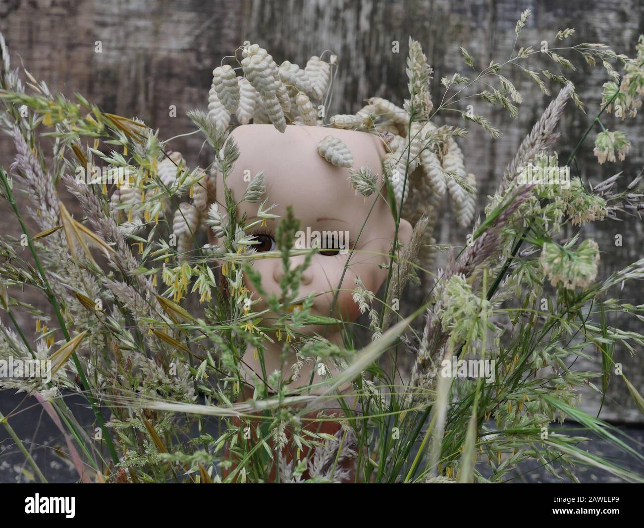 poupée peering à travers les herbes. Émotions, concept, visage de Banque D'Images