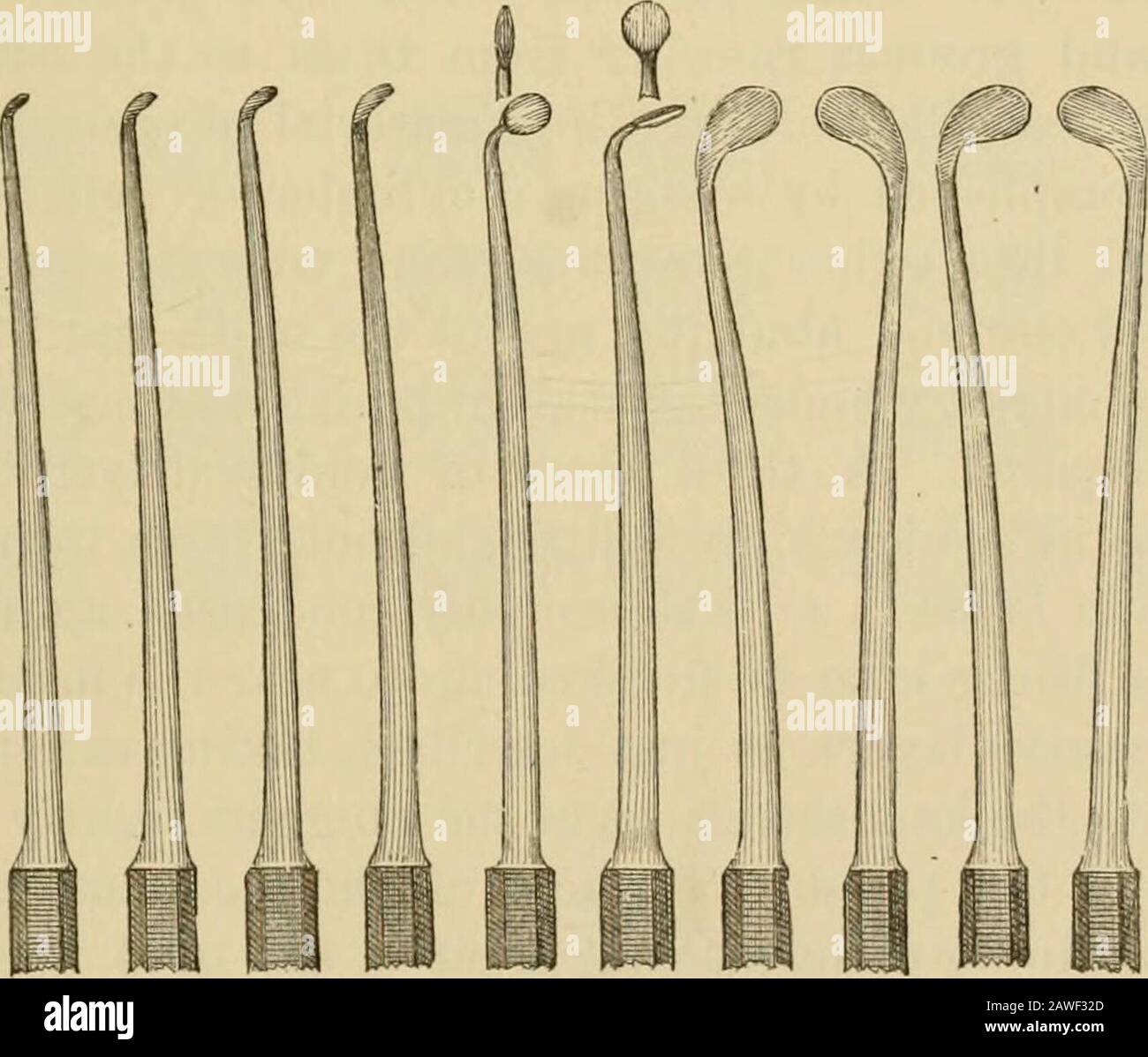 Manuel de chirurgie dentaire et de pathologie . 10 n 12 127 Elliss pluggeis. 9 99 101 4 3 jeu de pluggeurs New York. Dr Lords pluggeurs et breuleurs. ISTew York set sont sélectionnés avec (Fig. 138) JSTo. 3 du PProf. E. T. Darbys ensemble; aussi un emballeur à baïonnette et un condenseur.Dr. a. W. Elliss, JSos. 11,12 et 10, fig. 133, peut être usedforebe type oftgold, peut aussi être le Dr Benj. Lords (Fig. 133.) 154 MANUEL DE^;TAL CHIRURGIE ET PATHOLOGIE. Ces derniers sont remarquables de leur ressemblance générale avec le thelinger ou la main de l'homme, et rendent les emballages^ presque si facile d'ofacetment avec eux comme n'ont pas besoin de fourrure Banque D'Images