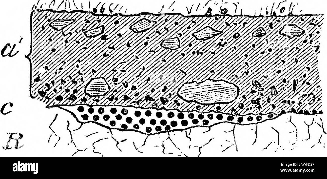 Sur Les Preuves d'une submergence de l'Europe occidentale, et des Côtes méditerranéennes, à la fermeture De la Période Glaciaire ou Dite post-Glaciaire, et Immédiatement Précédant la Période néolithique ou Récente . R a. Terre-brique ou loess.a. Poinçon en caoutchouc ou tête. C. Plages surélevées. E. Slates et roches de granit. Les flèches représentent la direction des courants d'effluents lorsque la terre émergede sous les eaux, laissant des portions des sédiments fins sur les plateaux, la bougeant hors des pentes et en bas des vallées. Jersey.—Sur cette île, il y a les restes d'une plage Surélevée de bas niveau à FortReg Banque D'Images