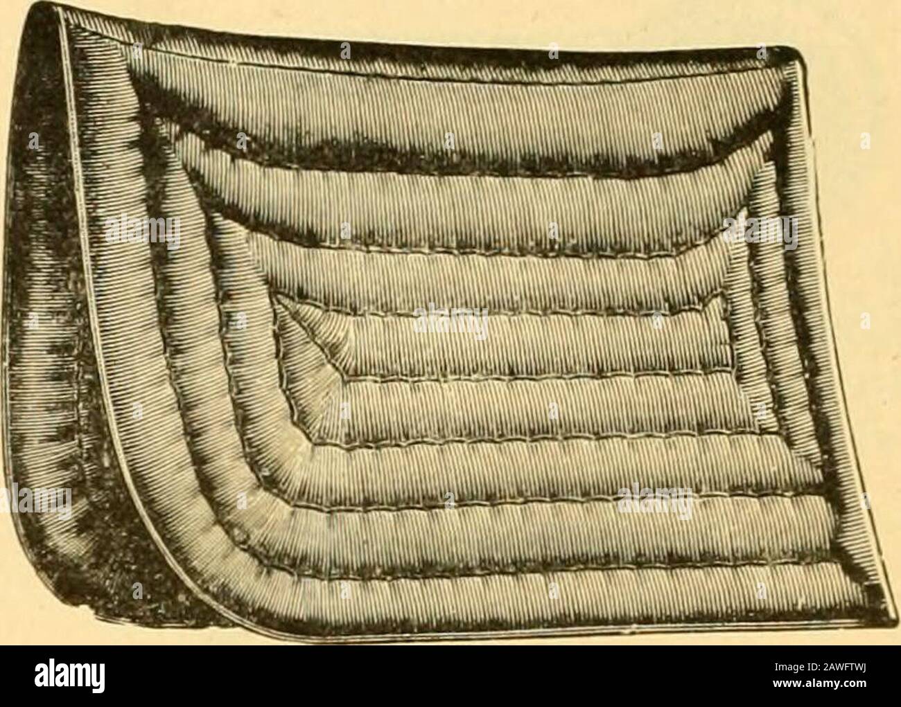 Catalogue de harnais spécial, saison 1910 et 1911 . Patins De Selle Style K. Le visage du tampon est le feutre frai, les bords de feutre pincés, la composition, l'espace au centre est laissé ouvert ou iinstufled; possède tous les mérites de tlie d'un boîtier de selle en feutre et d'un tampon à revers combinés, l'épaisseur est suffisante pour guar-antee contre toute blessure par la selle, tandis que le stuffingused assure l'absorption complète de la transpiration. Electrodes De Selle Style W. Fabriqué à partir d'un ancien foret en or, d'une excellente qualité, de la composition, d'une fabrication de haute qualité, l'espace au centre est ouvert à gauche ou non, brièvement résumé, ils sont de première classe. Banque D'Images