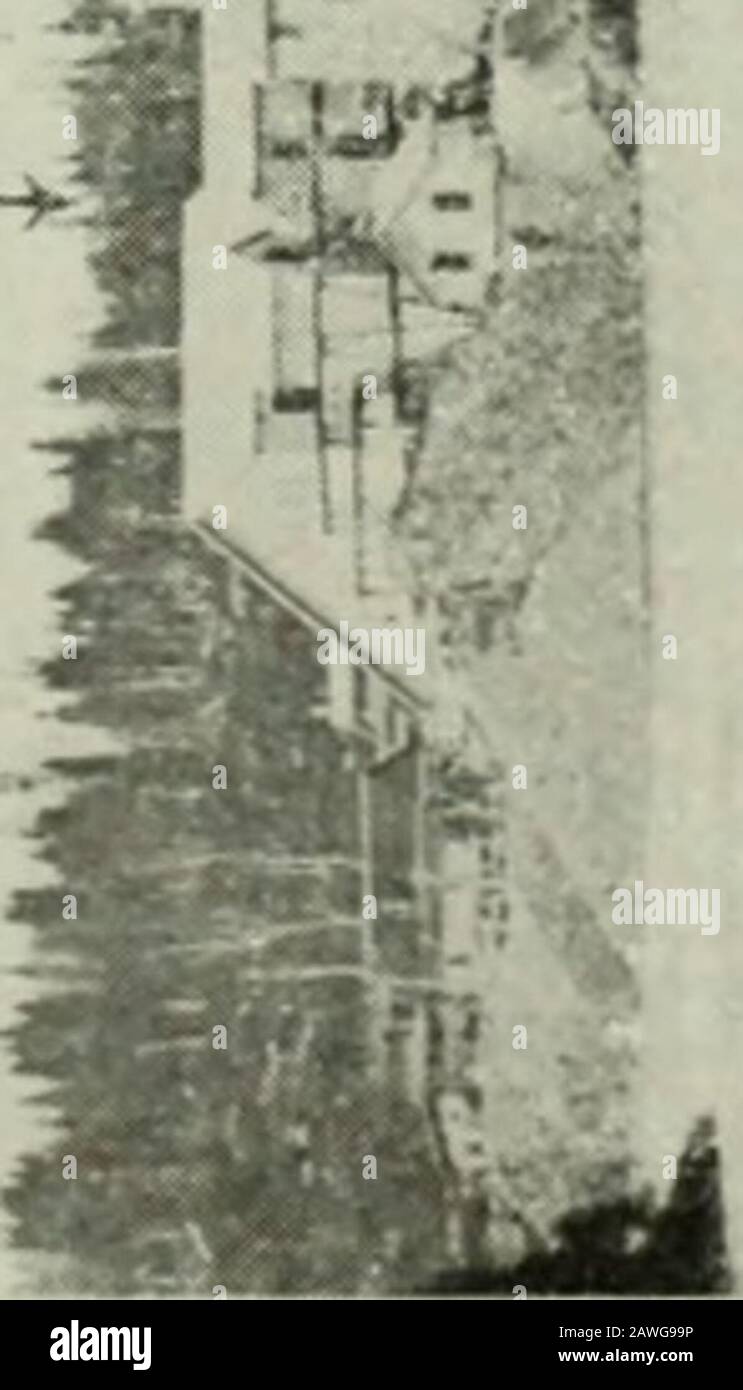 Rapport annuel . ay il y a quelques années et montré sur la carte No 23 a, 1913, Ontario Bureauof Mines. La carte actuelle est à une plus grande échelle et montre en détail la thégéologie dans les environs du lac Kirkland, où un certain nombre de propriétés se sont endéveloppées dans la production de mines. Il servira de guide pour l'exploration de plus grande région, pour des associations similaires de roches s'étendant sur plusieurs kilomètres au sud-ouest de la ville de Teck et au nord-est et à l'est du lac Kirkland à travers les cantons de Lebel et d'Otik, où avec mais peu d'or de prospection a déjà été fondamental dans un certain nombre de veines. La Kirkla Banque D'Images