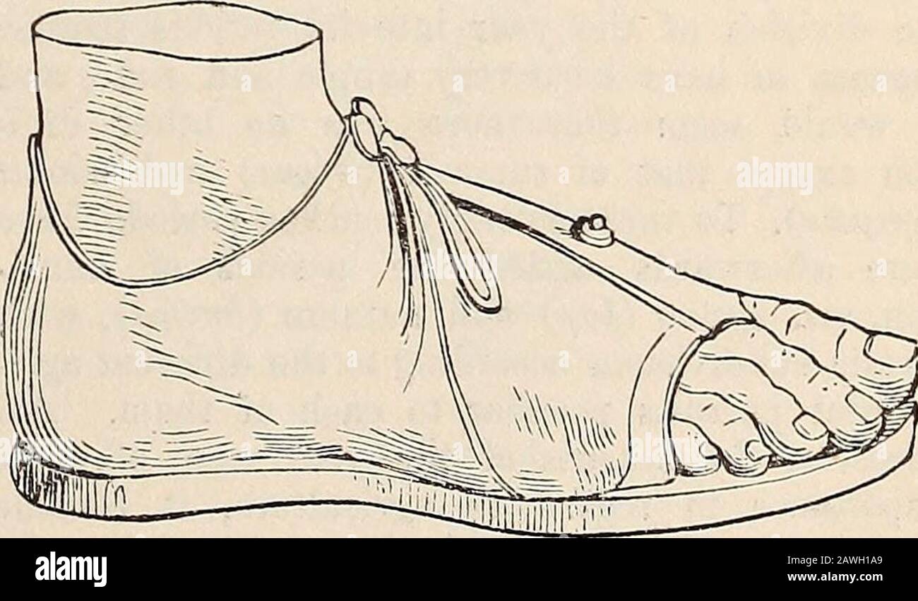Dictionnaire des antiquités grecques et romaines. . D'autre part, un pied  en marbre du BritishMuseum expose la forme d'une chaussure pour homme.  Boththe semelle et le cuir supérieur sont épais et forts.Les