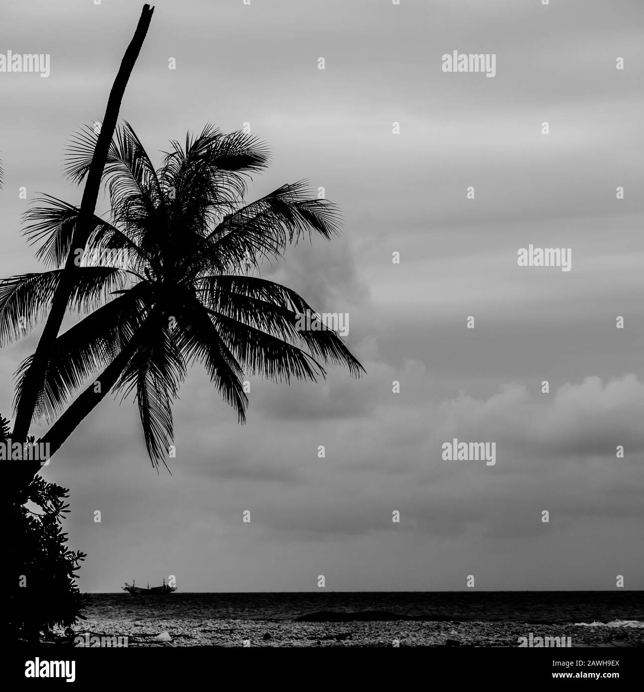 vue sur la plage en noir et blanc Banque D'Images
