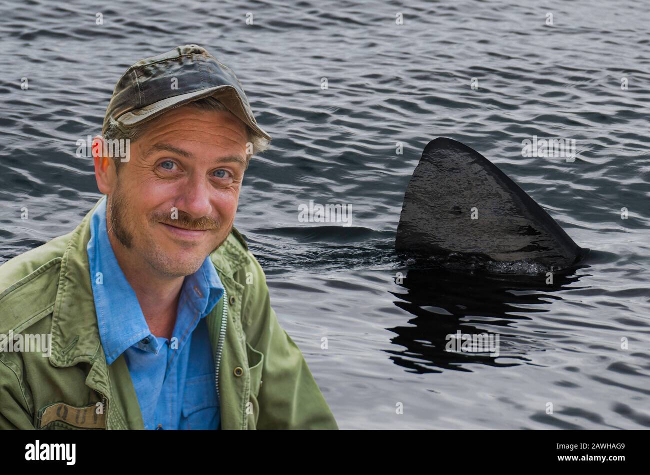 J'aurais besoin d'un plus grand bateau. Quin et nageoire à requin Banque D'Images