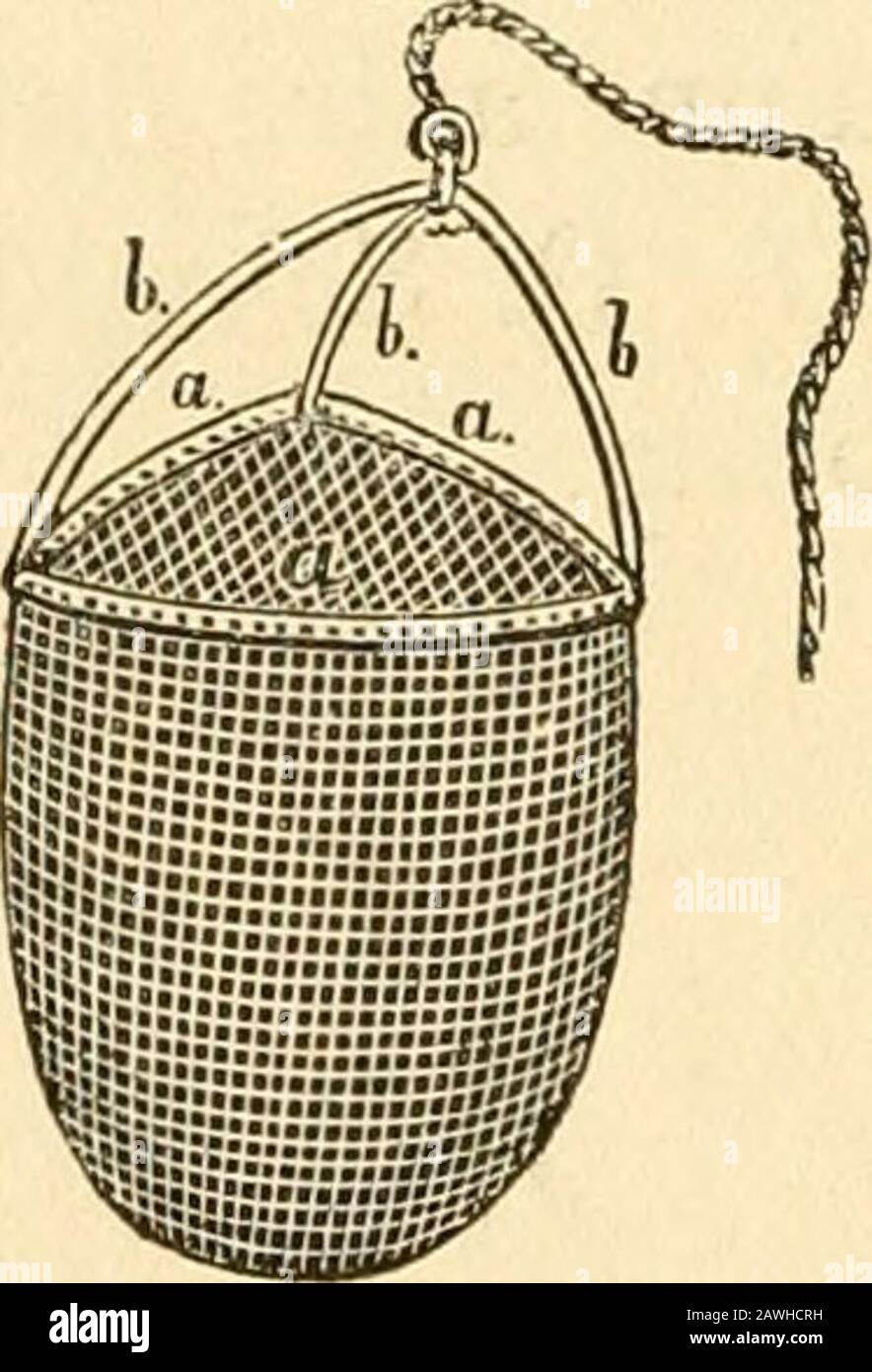 Annales de la Société malacologique de Belgique . aminci et tranchant. Les hôtels o,il sont égaux principaux ; il en est de rêve des hôtels h. Largeur du fer a viron 45 moulin,// Longueur 2 à 2 1/2 pieds, grande épaisseur// Environ 4 moulin, route la machine pèse à peu// près 6 kilos. Il est bon datatacher une pierreIl ou un morceau de plomb au sommet c de la Drague triangulaire de • -i n ^ i M. Ledo. Schmidt. „ pyramide ou se fixe la corde. » les communications divergent. — M. Roffiaen fait remarquer quecette année diverses espèces dhélices (nemoralis, hortensis,fruticum), après avoir formé leur épiphrag Banque D'Images