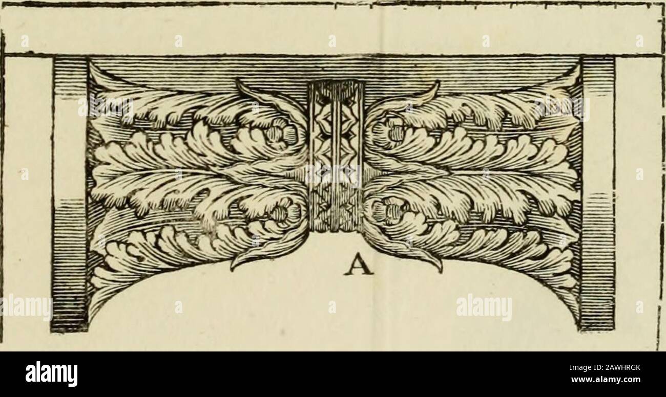 Architectura . Fig. IO. 3 h—i—i—i—h-i—i—i—?—h ABACVS i B Fig. II.. Fig. 12. ONGLET. N e 6 Fig. I3. ABACUS^ BCANALIS- TCYMATJUMIFE ?ASTRA Banque D'Images